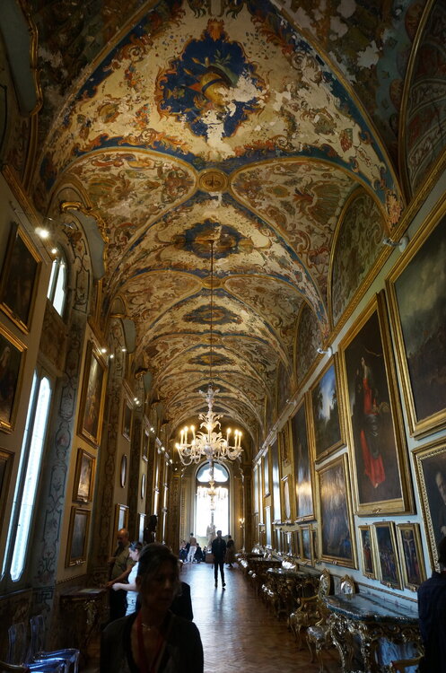 DSC08082.JPG