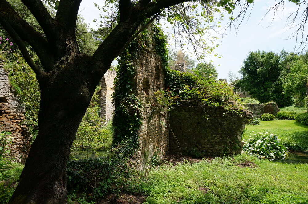 DSC08222.JPG