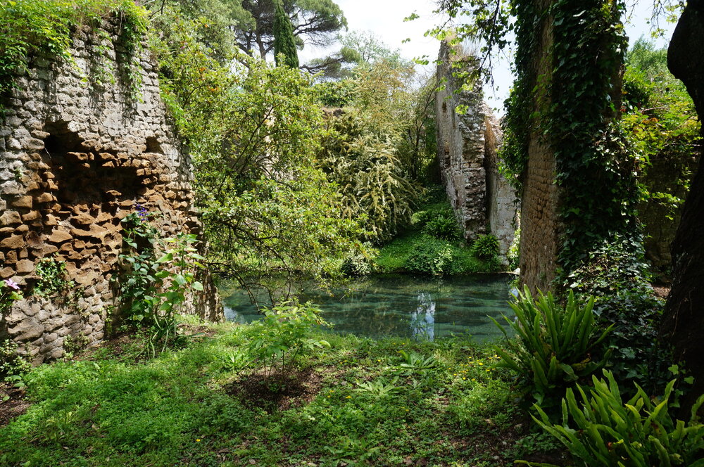 DSC08223.JPG