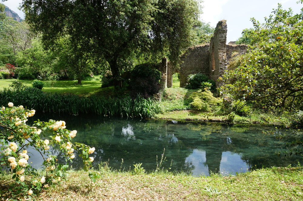 DSC08224.JPG