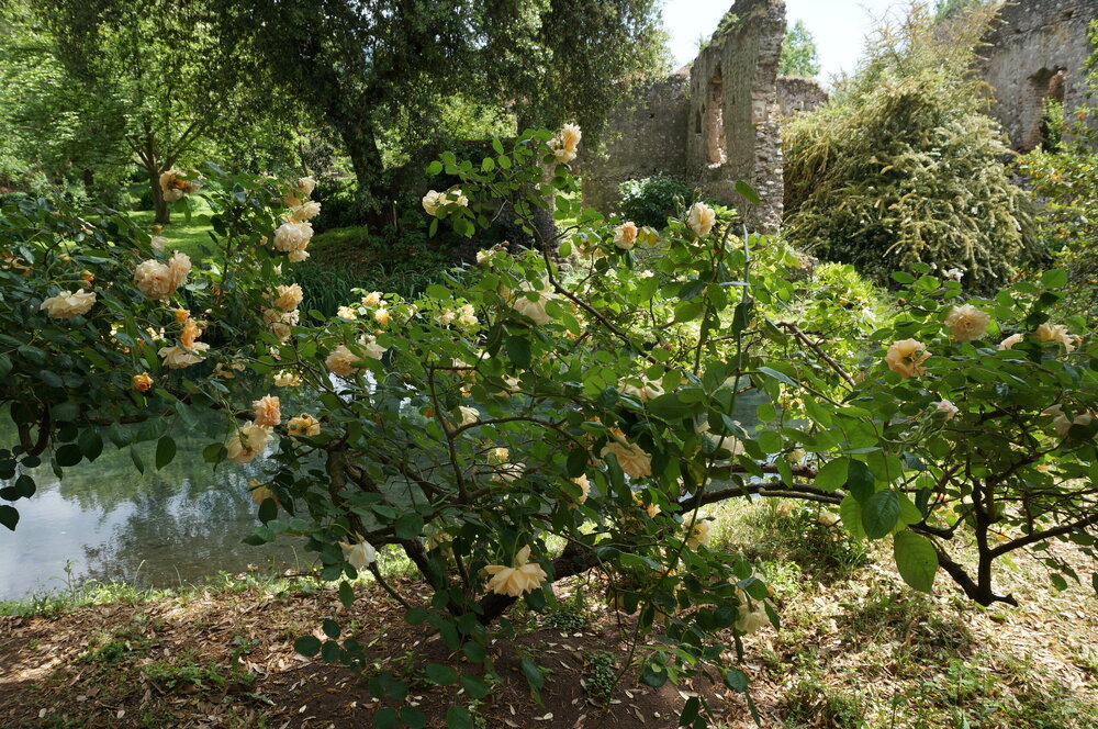 DSC08226.JPG