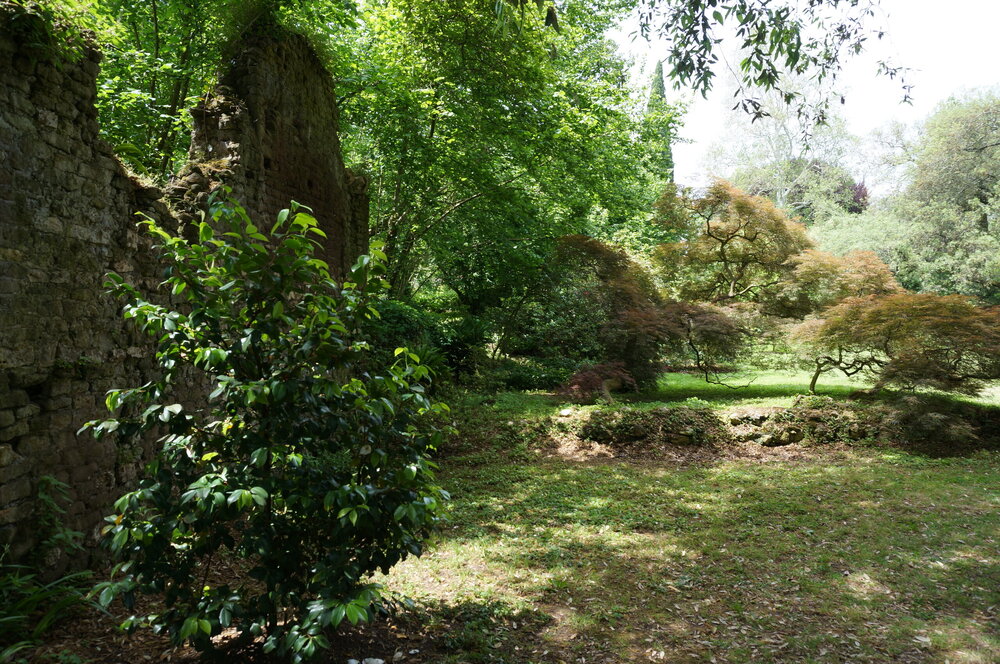 DSC08228.JPG