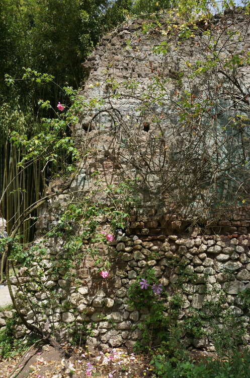 DSC08229.JPG