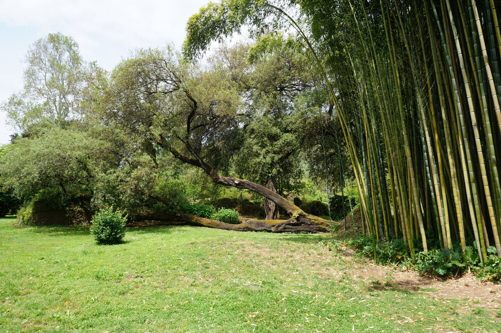 DSC08230.JPG