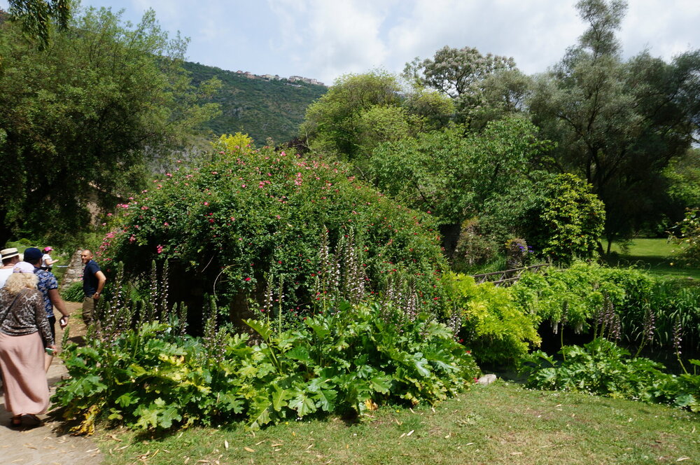 DSC08236.JPG