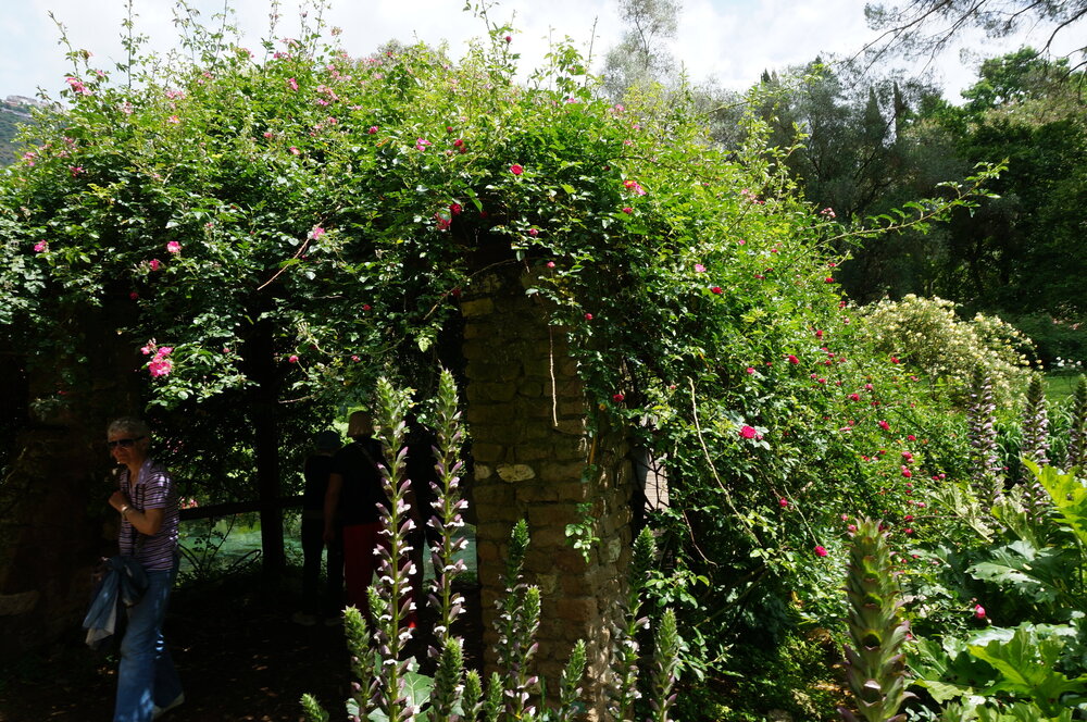 DSC08238.JPG