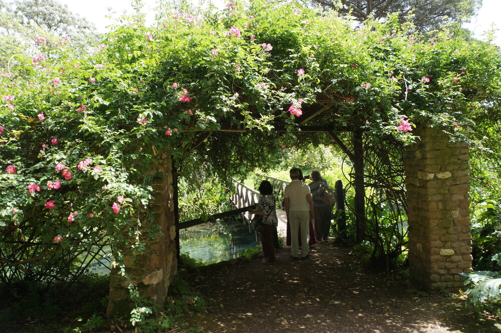 DSC08245.JPG