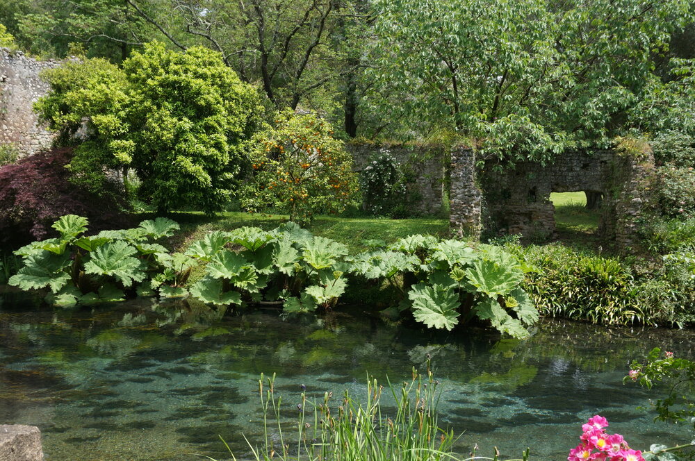 DSC08247.JPG