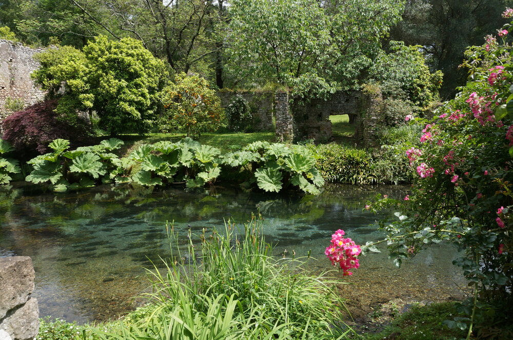 DSC08249.JPG