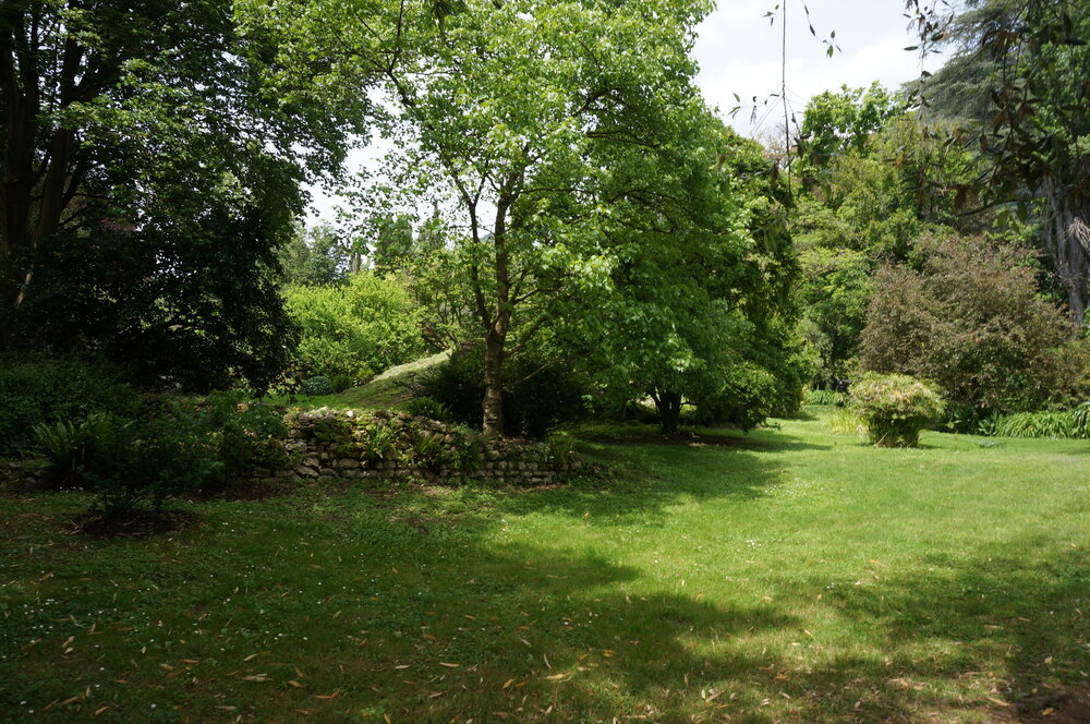 DSC08250.JPG