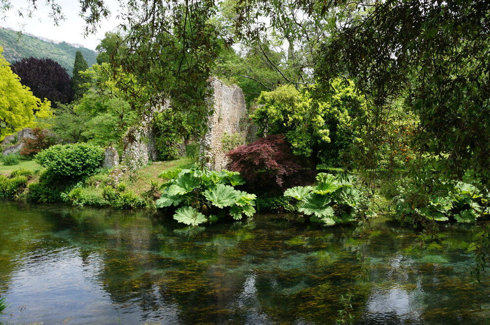 DSC08255.JPG