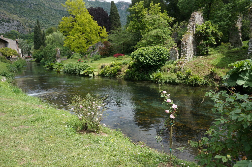 DSC08256.JPG