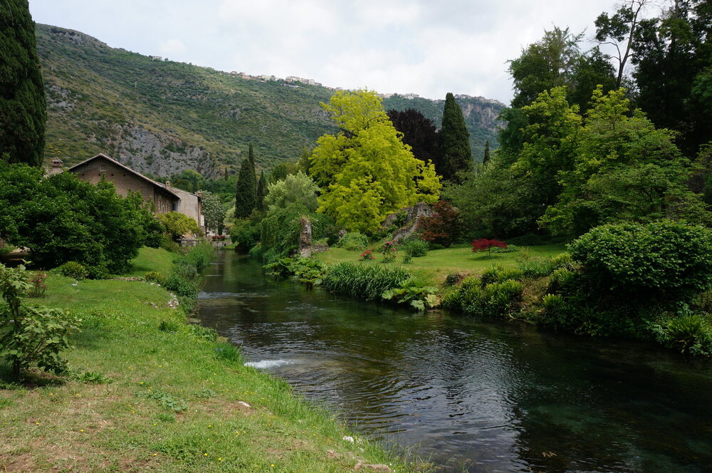 DSC08257.JPG