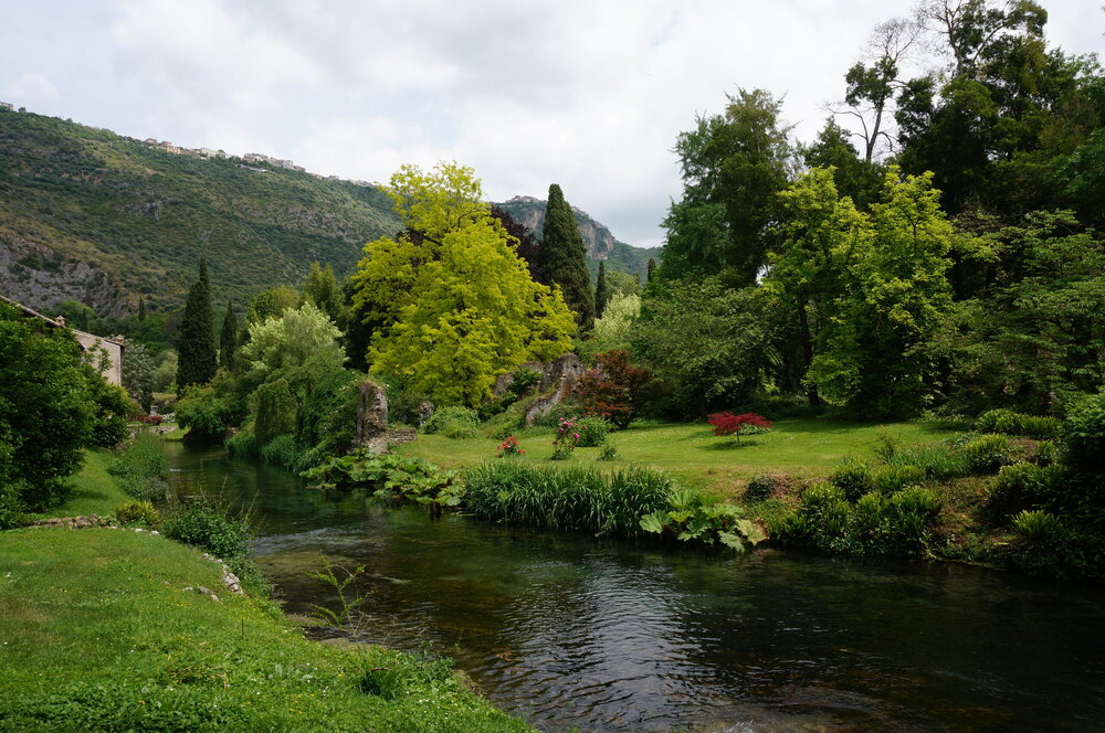 DSC08259.JPG