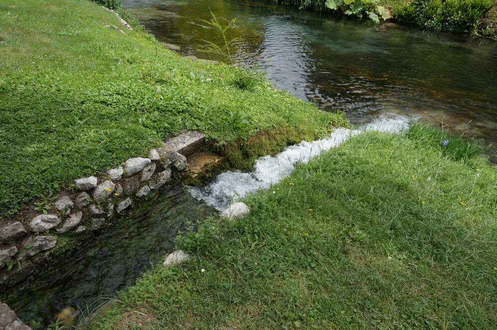 DSC08260.JPG