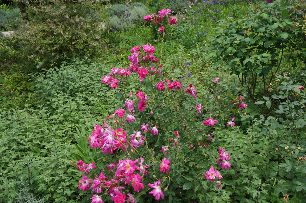 DSC08272.JPG