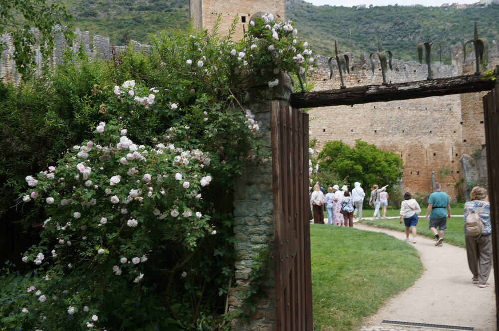 DSC08274.JPG
