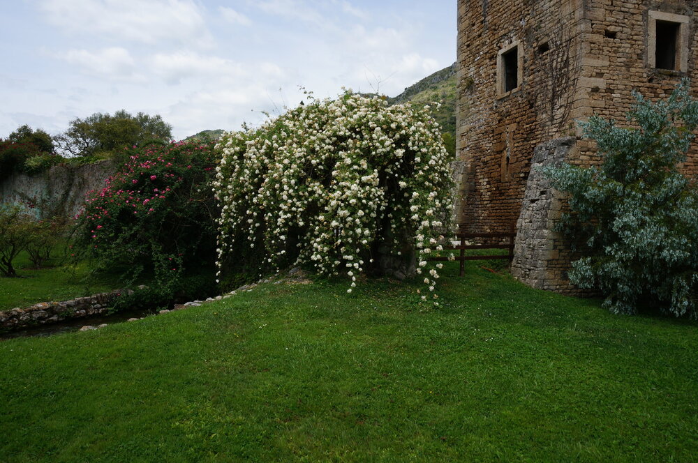 DSC08281.JPG
