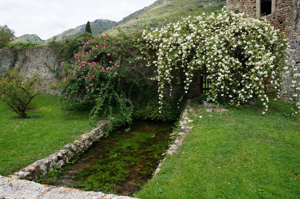 DSC08282.JPG