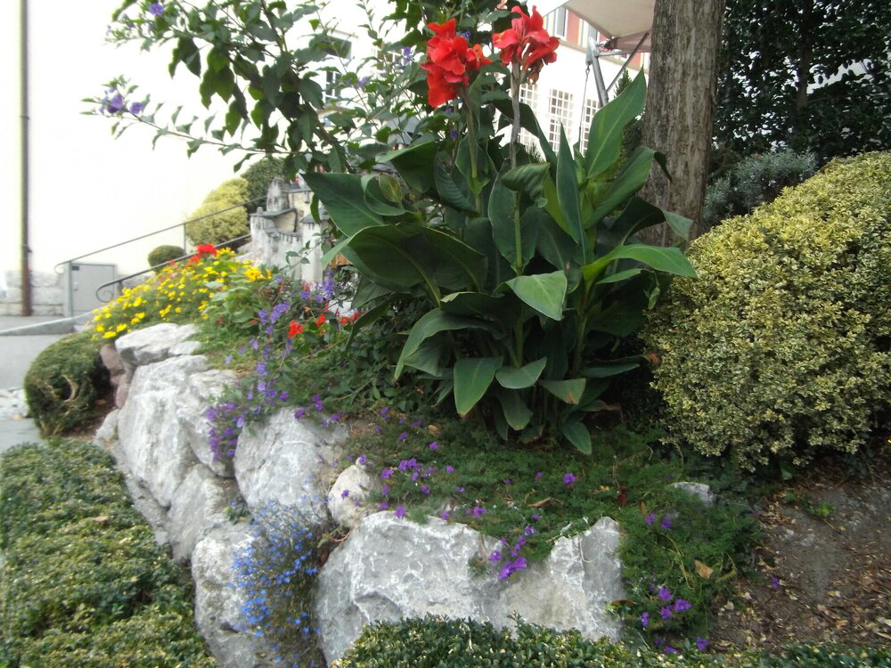 DSCF2614.jpg