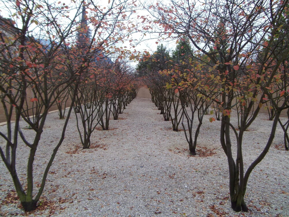 DSCF2641.jpg