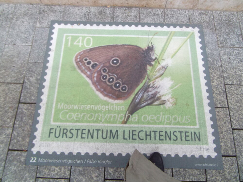DSCF2659.jpg