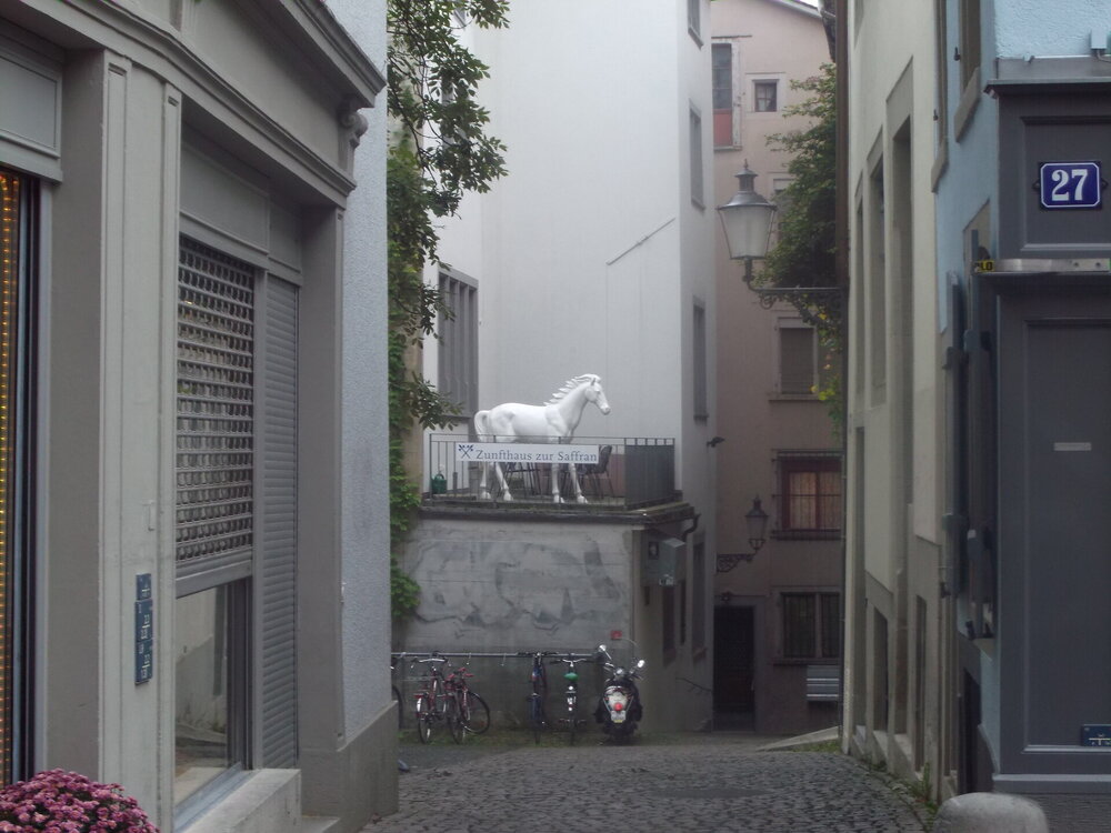 DSCF2774.jpg