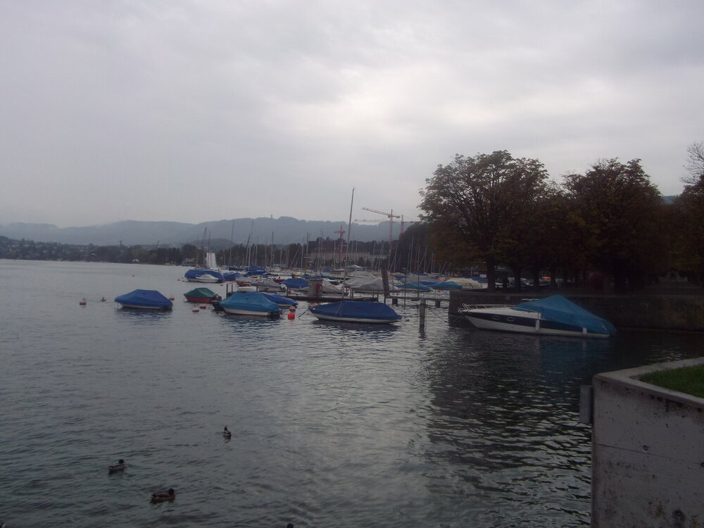 DSCF2796.jpg