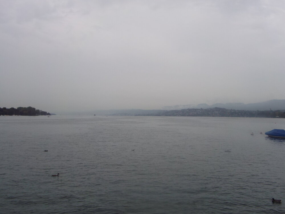 DSCF2798.jpg