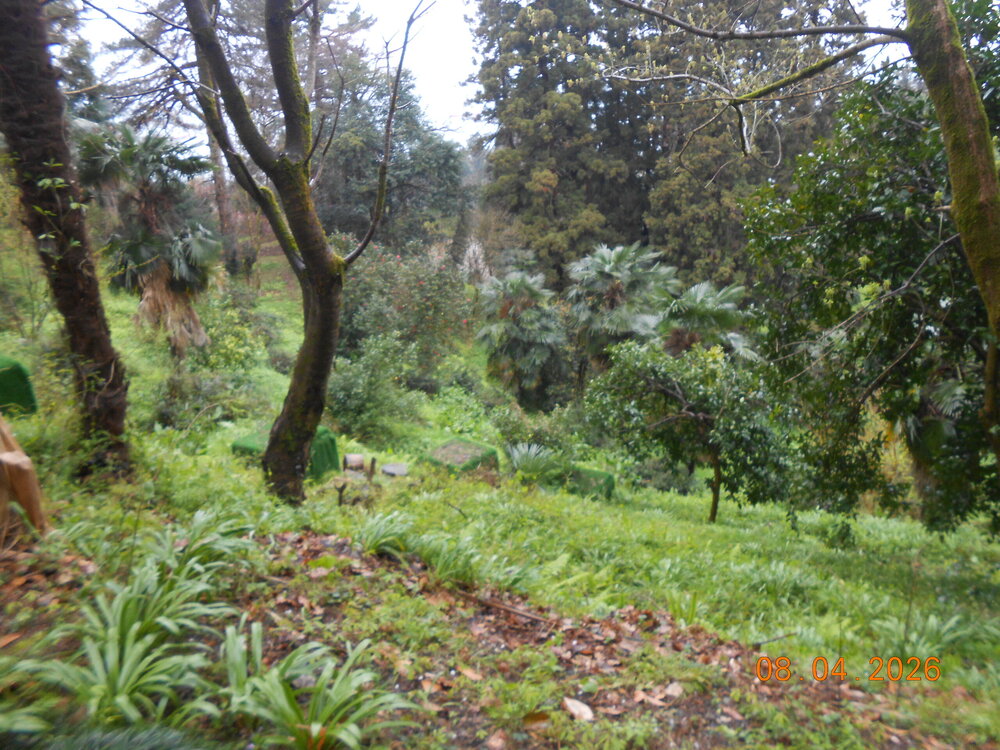 DSCN6794.JPG