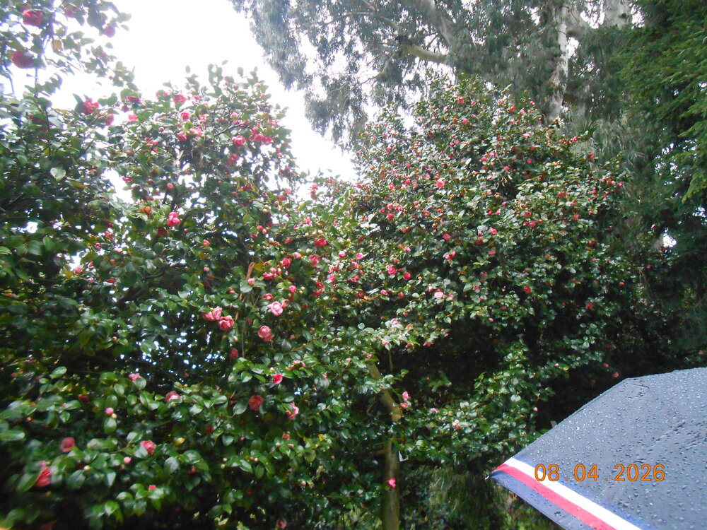 DSCN6795.JPG