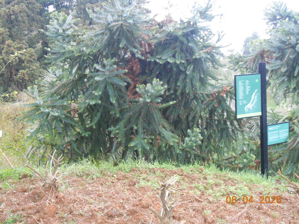 DSCN6800.JPG