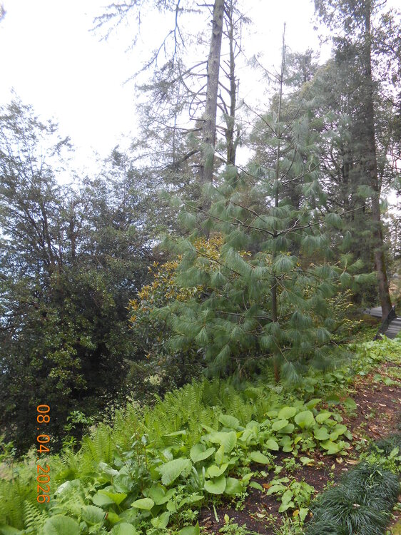 DSCN6803.JPG
