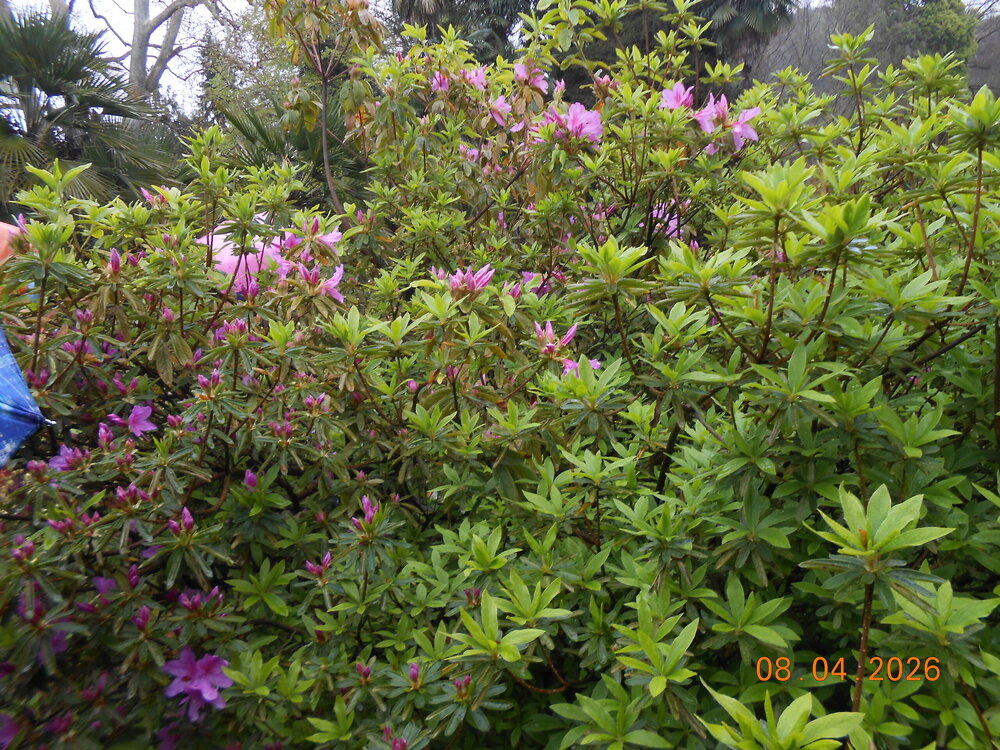 DSCN6805.JPG