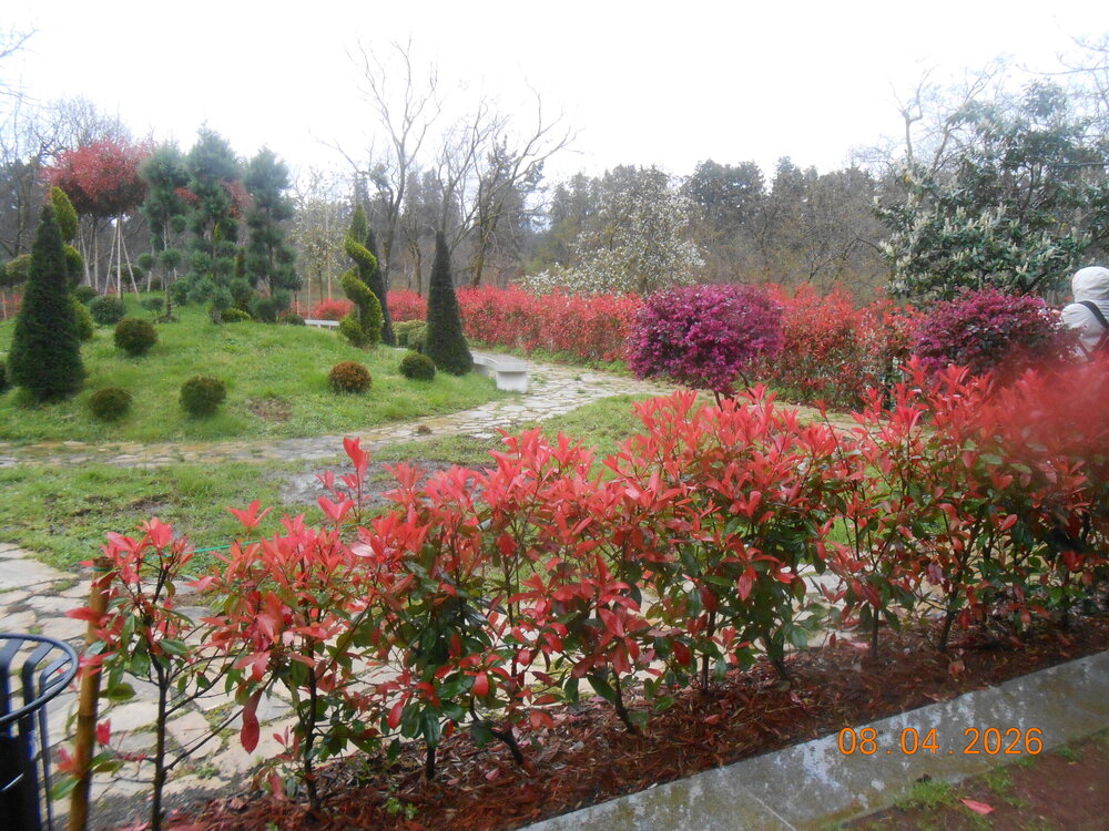 DSCN6807.JPG