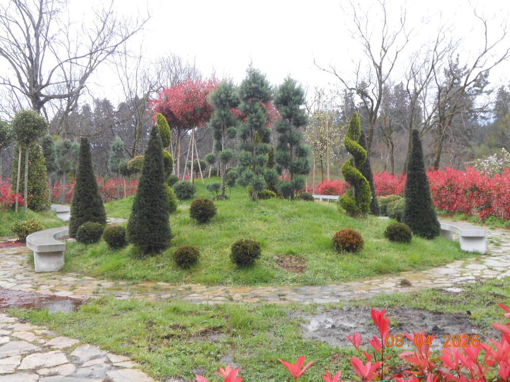 DSCN6808.JPG