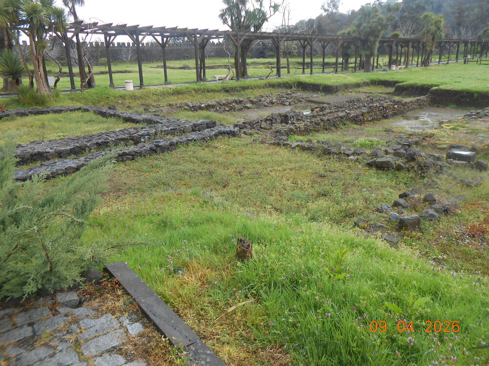 DSCN6848.JPG