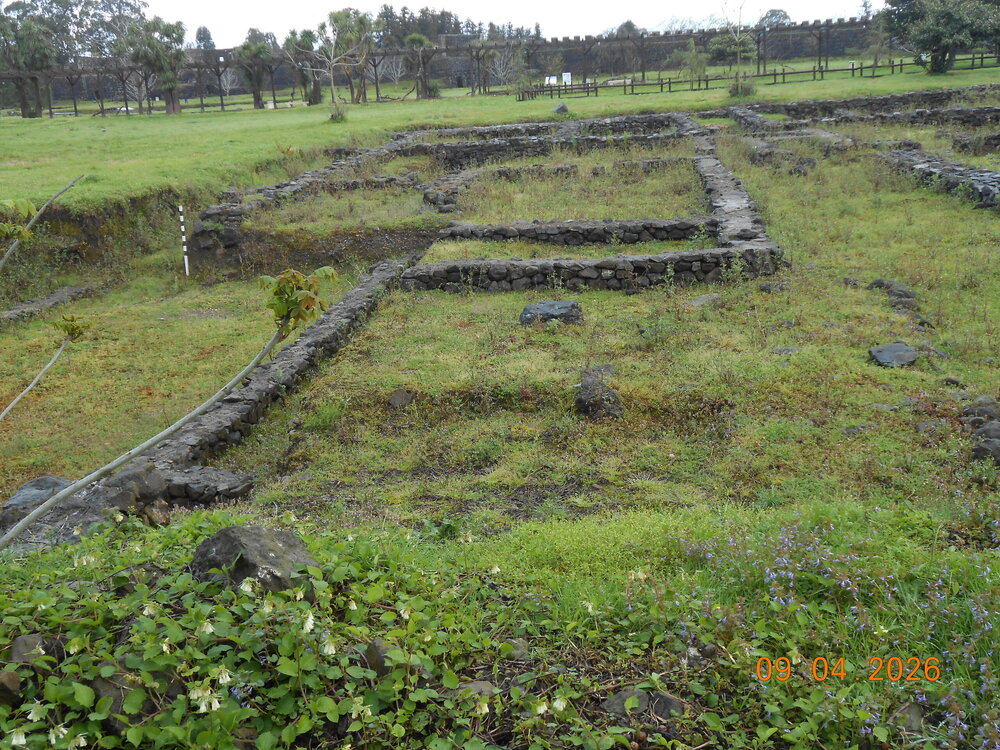 DSCN6860.JPG