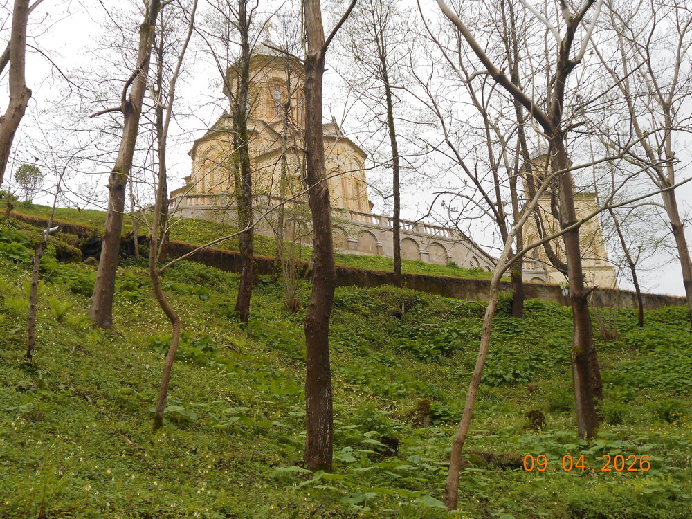 DSCN6875.JPG