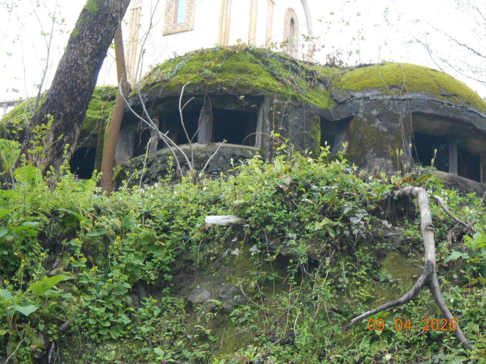 DSCN6876.JPG
