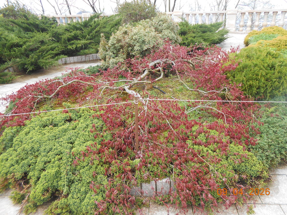 DSCN6881.JPG