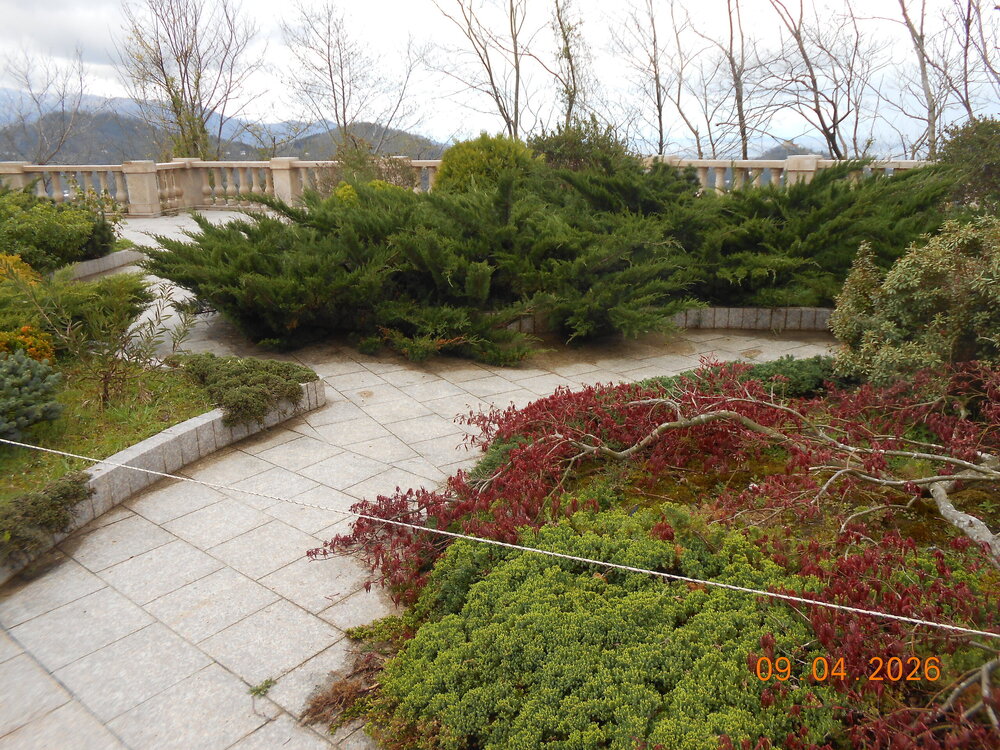 DSCN6882.JPG