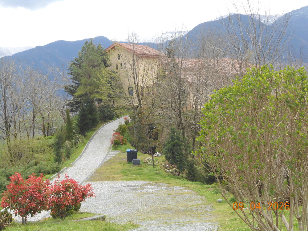DSCN6893.JPG