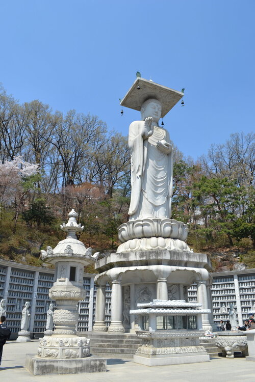 DSC_0064.JPG
