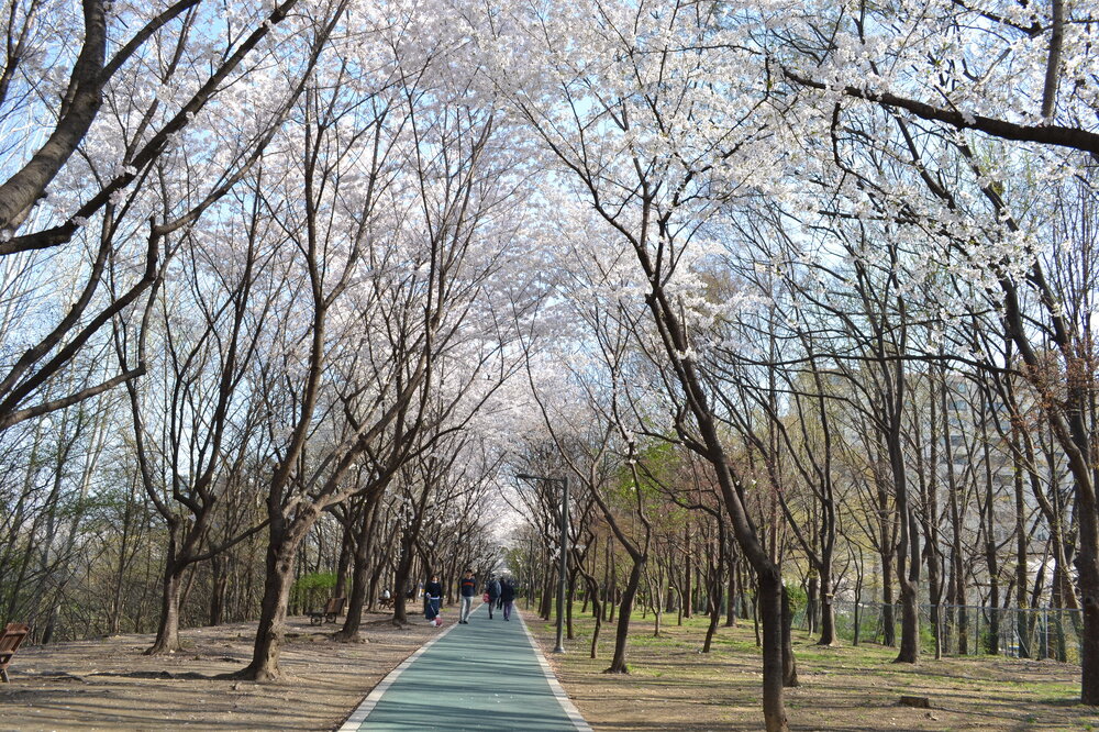 DSC_0112.JPG