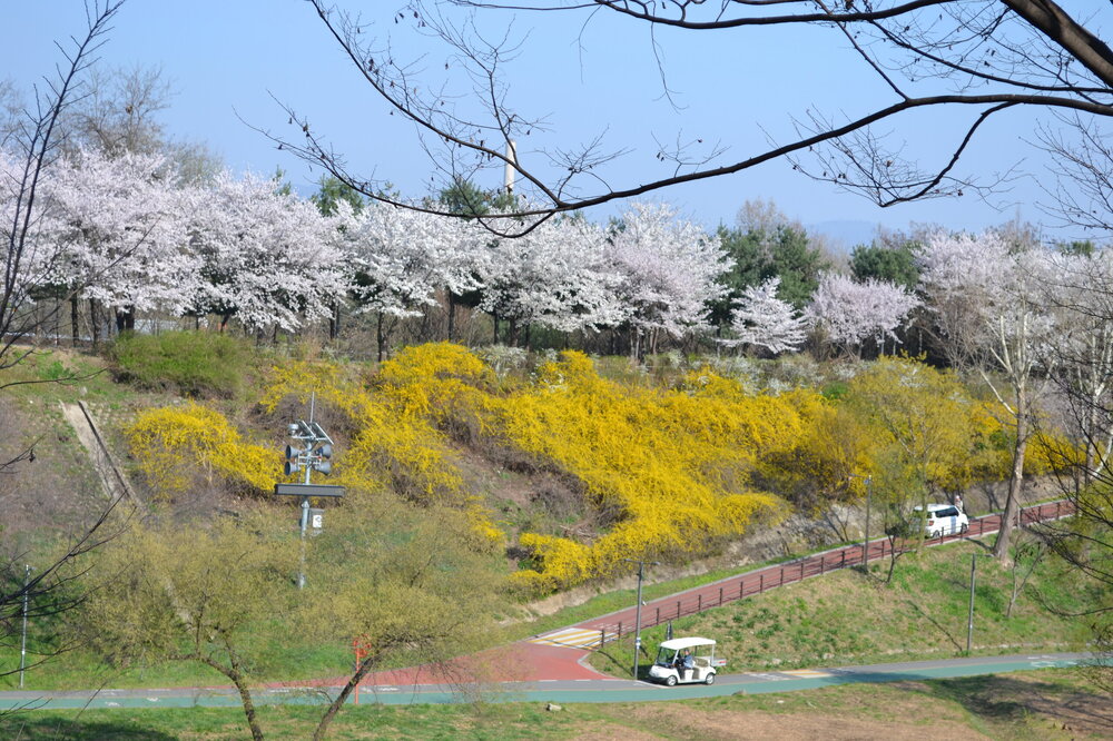 DSC_0115.JPG