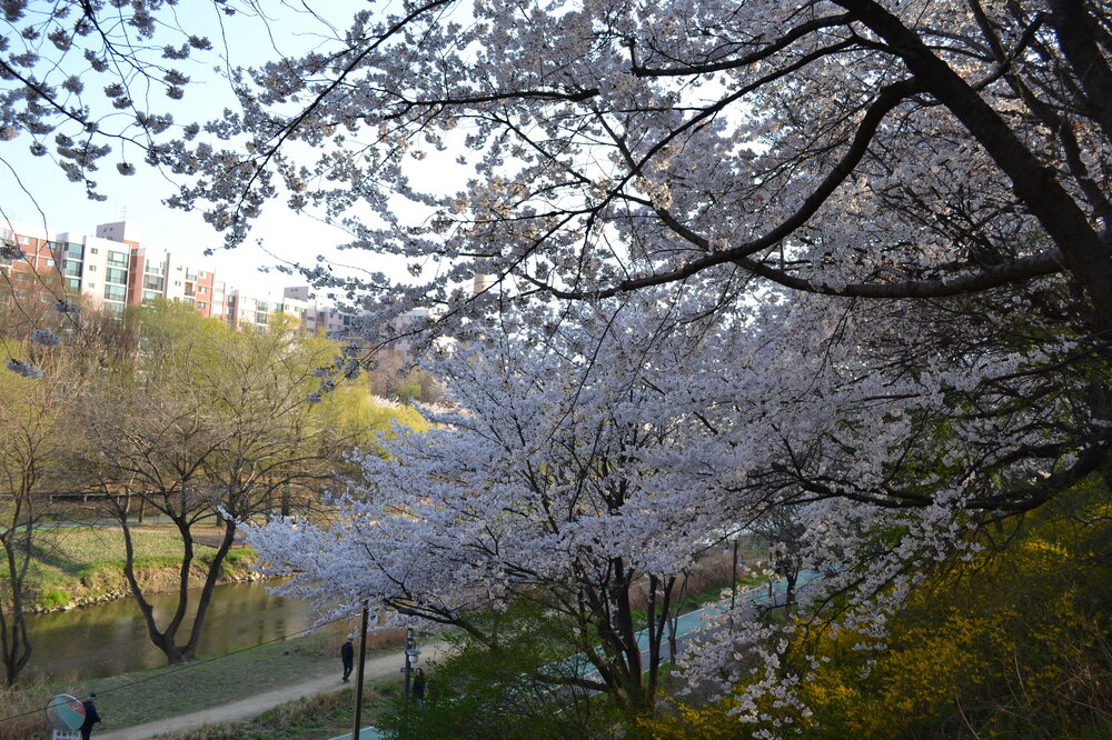DSC_0179.JPG