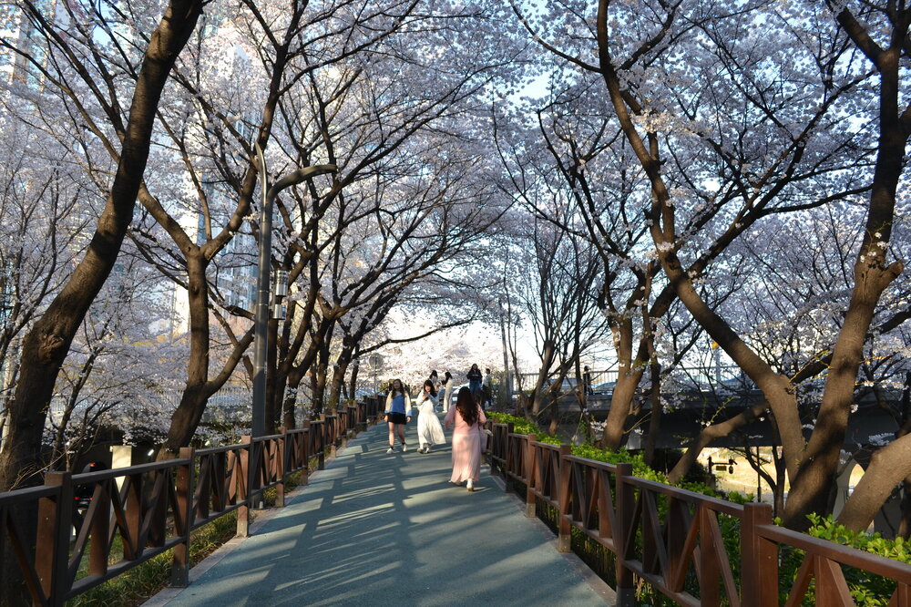 DSC_0180.JPG