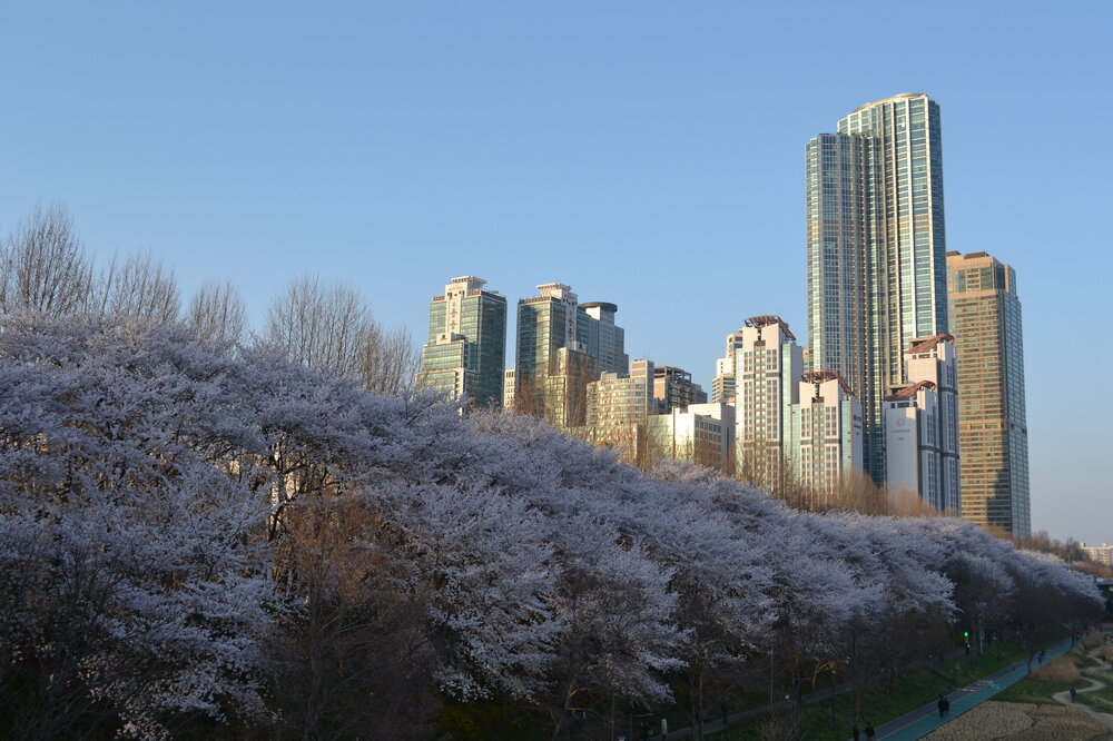 DSC_0229.JPG