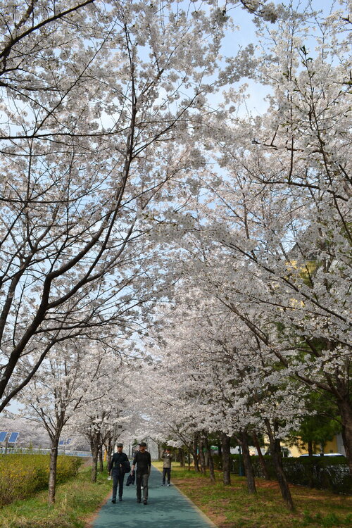 DSC_0307.JPG